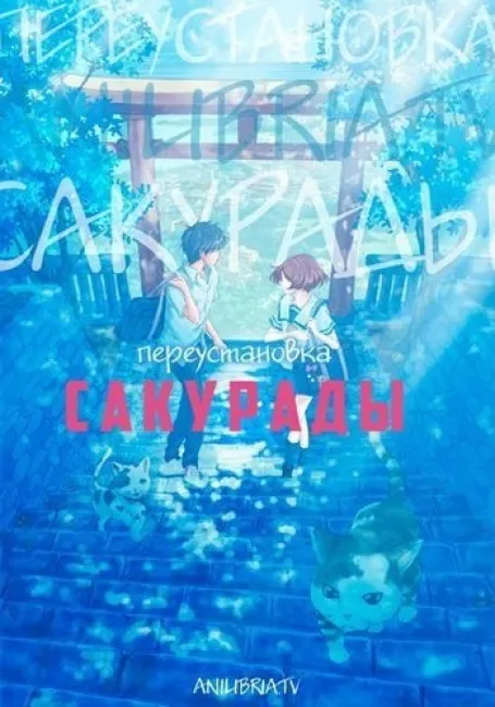 Переустановка Сакурады